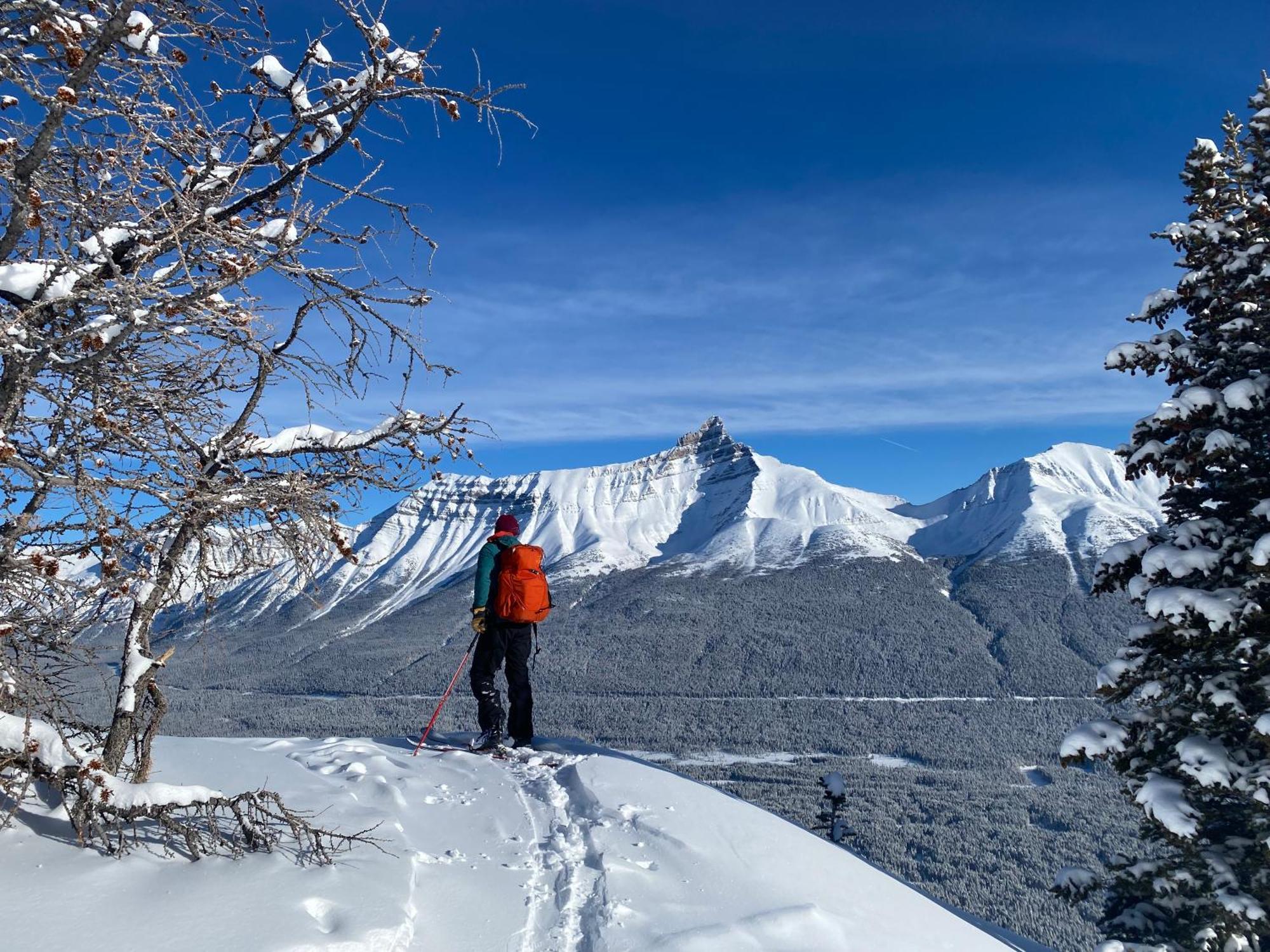 The Lodge At Bow Lake Lake Louise Esterno foto