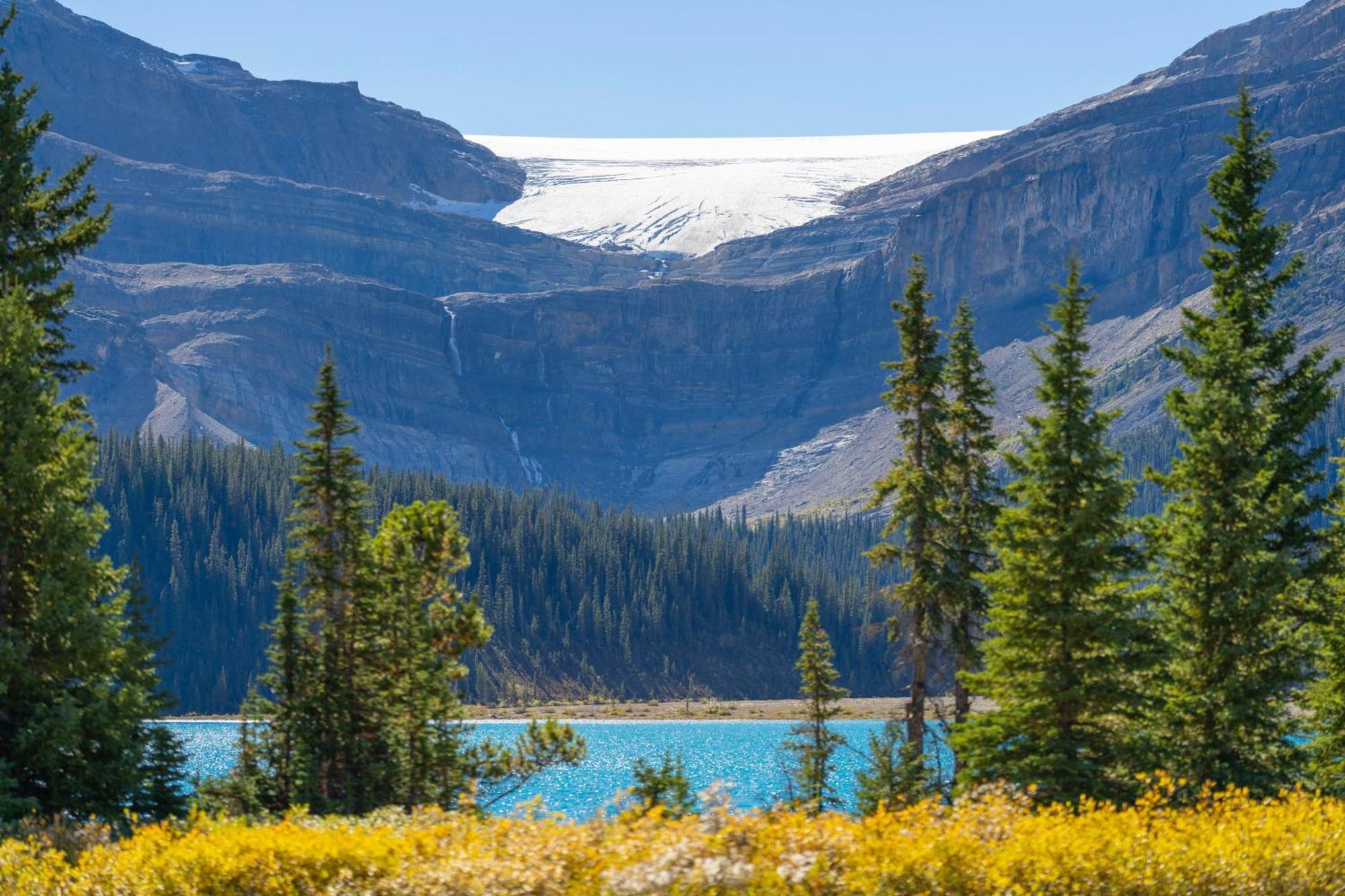 The Lodge At Bow Lake Lake Louise Esterno foto
